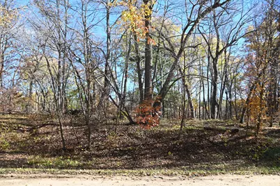 39906 Pine Island Pt Drive, Browerville, MN 56438 - Photo 4