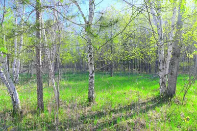 27727 Oberon Loop, Browerville, MN 56438 - Photo 30
