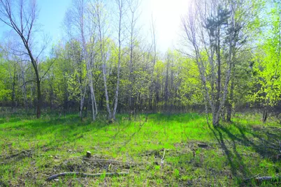 27727 Oberon Loop, Browerville, MN 56438 - Photo 28
