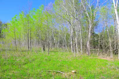 27727 Oberon Loop, Browerville, MN 56438 - Photo 32