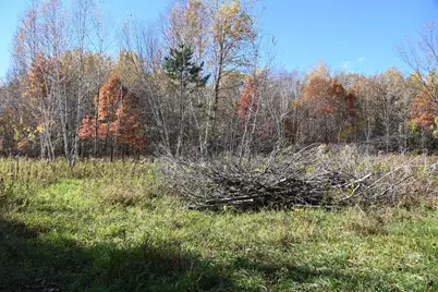 27727 Oberon Loop, Browerville, MN 56438 - Photo 6
