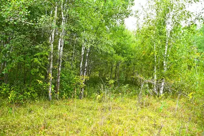 39902 Oriole Court, Browerville, MN 56438 - Photo 12