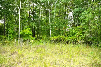39904 Oriole Court, Browerville, MN 56438 - Photo 10