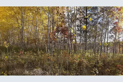 39904 Oriole Court, Browerville, MN 56438 - Photo 6