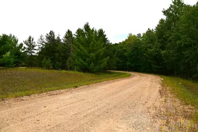 Tbd Oak Drive, Browerville, MN 56438 - Photo 14