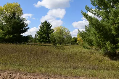 Tbd Oak Drive, Browerville, MN 56438 - Photo 6