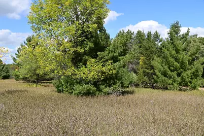 Tbd Oak Drive, Browerville, MN 56438 - Photo 10