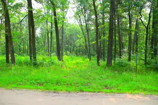 38970 Odin Ct, Browerville, MN 56438 - Photo 1