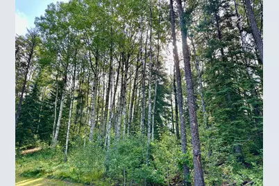 21761 Bemis Hill Forest Road, Salol, MN 56756 - Photo 48