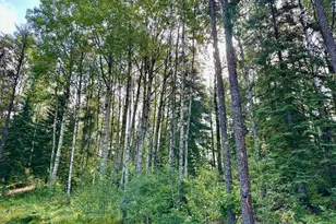 21761 Bemis Hill Forest Rd, Salol, MN 56756 - Photo 48