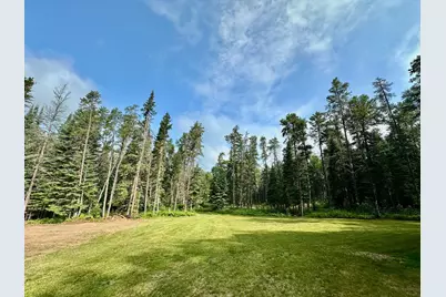 21761 Bemis Hill Forest Road, Salol, MN 56756 - Photo 8