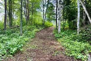 21761 Bemis Hill Forest Rd, Salol, MN 56756 - Photo 44