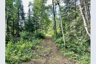 21761 Bemis Hill Forest Road, Salol, MN 56756 - Photo 44