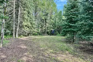 21761 Bemis Hill Forest Rd, Salol, MN 56756 - Photo 46