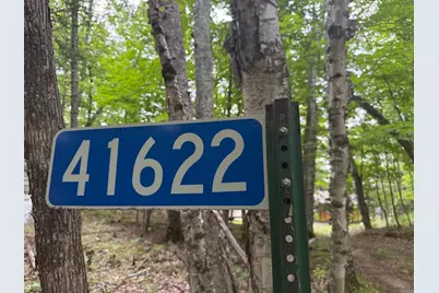 41622 Turtle Lake View Trail, Bigfork, MN 56628 - Photo 48