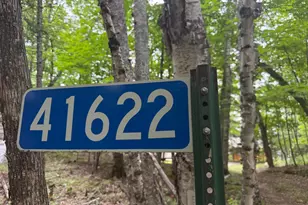 41622 Turtle Lake View Trail, Bigfork, MN 56628 - Photo 48