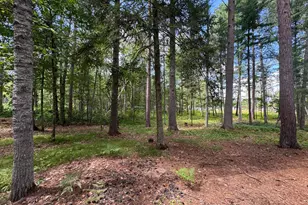 37647 Teal Dr, Sturgeon Lake, MN 55783 - Photo 24