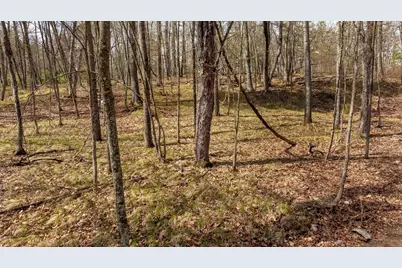 6000 N Bass Lk Drive NE, Remer, MN 56672 - Photo 12