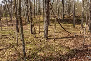 6000 N Bass Lake Dr NE, Remer, MN 56672 - Photo 12