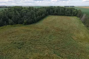 21888 190th St NE, Goodridge, MN 56725 - Photo 10