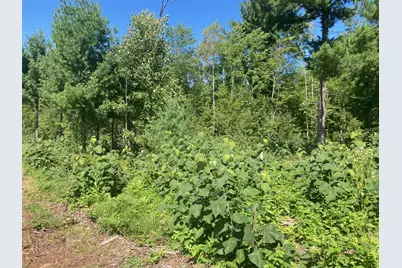 Lot 4 Surely Drive, Siren, WI 54872 - Photo 24