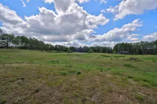 50738 Vinewood Trail, Bemidji, MN 56601 - Photo 34