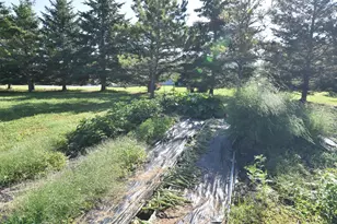 220 4th Ave SW, Baudette, MN 56623 - Photo 20