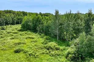 N1395 Grouse Rd, Sarona, WI 54870 - Photo 42