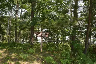 332Xx McGraw Lake Rd, Danbury, WI 54830 - Photo 1