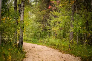 Tbd 120th St, Wannaska, MN 56761 - Photo 24