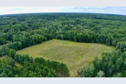 _ County Road 19, Roseau, MN 56751 - Photo 10