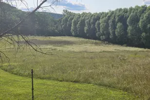 4488 Ferndale Rd, Rushford, MN 55971 - Photo 8