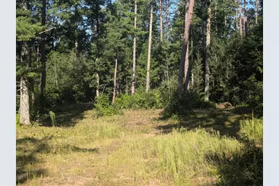 3380 W Highway 63, Springbrook, WI 54875 - Photo 2