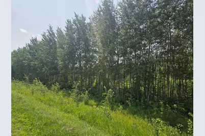 County  Road 53 E County Road 53, Mizpah, MN 56660 - Photo 1