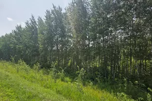 County Road 53 E County Road 53, Mizpah, MN 56660 - Photo 1