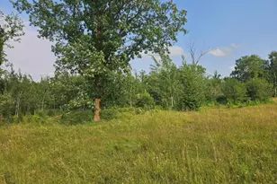 16713 340th Street, Bagley, MN 56621 - Photo 30