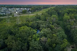 4643 Wild Canyon Trail, Woodbury, MN 55129 - Photo 50