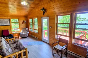Unit 1 Flag Island, Angle Inlet, MN 56711 - Photo 4