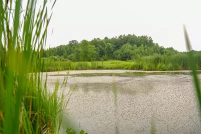 Tbd Wilderness Drive, Frazee, MN 56544 - Photo 72