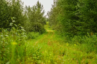 Tbd Wilderness Drive, Frazee, MN 56544 - Photo 40