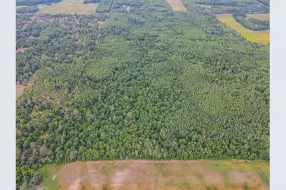 Tbd County Road 125, Park Rapids, MN 56470 - Photo 4