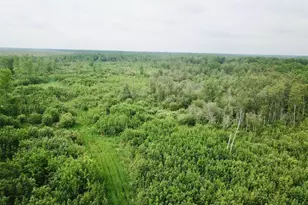 3274 County Road 1 SW, Baudette, MN 56623 - Photo 24