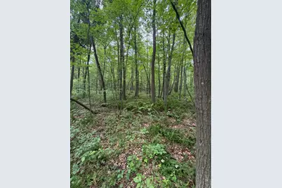 2607 Quail Street, Brook Park, MN 55007 - Photo 18