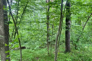 Tbd Flintstone Rd, Cushing, MN 56443 - Photo 1