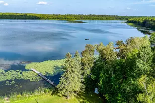 49494 Dixon Lake Resort Rd, Squaw Lake, MN 56681 - Photo 74