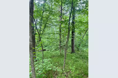Tbdxx Flintstone Road, Cushing, MN 56443 - Photo 1