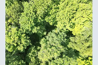Lot 4 Smith Road, Couderay, WI 54828 - Photo 18