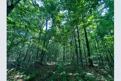 Lot 4 Smith Road, Couderay, WI 54828 - Photo 28