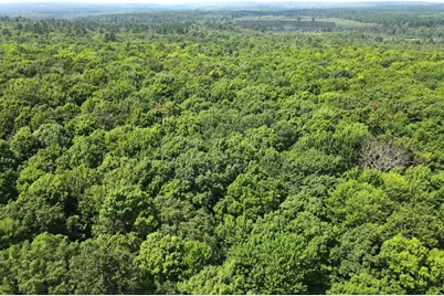 Lot 4 Smith Road, Couderay, WI 54828 - Photo 12