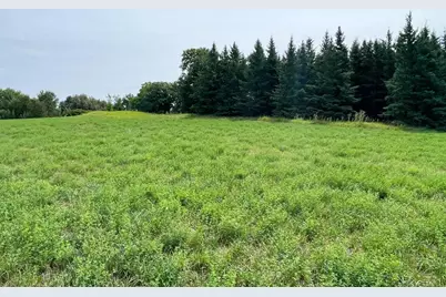 46635 S Pine Lake Road, Gonvick, MN 56644 - Photo 60